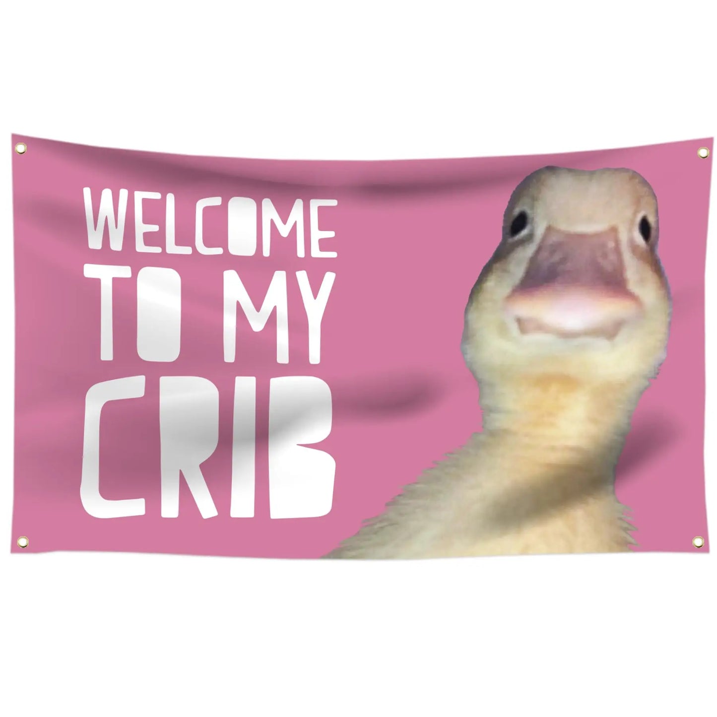 Welcome to My Crib Funny Flag 3X5 Ft for Bedrooms Living Rooms Bars College Dorms